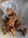 Chaga Fungus - Wild Foraged