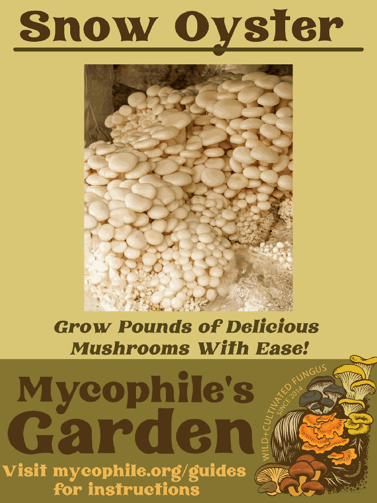 Grow Kit - Snow Oyster