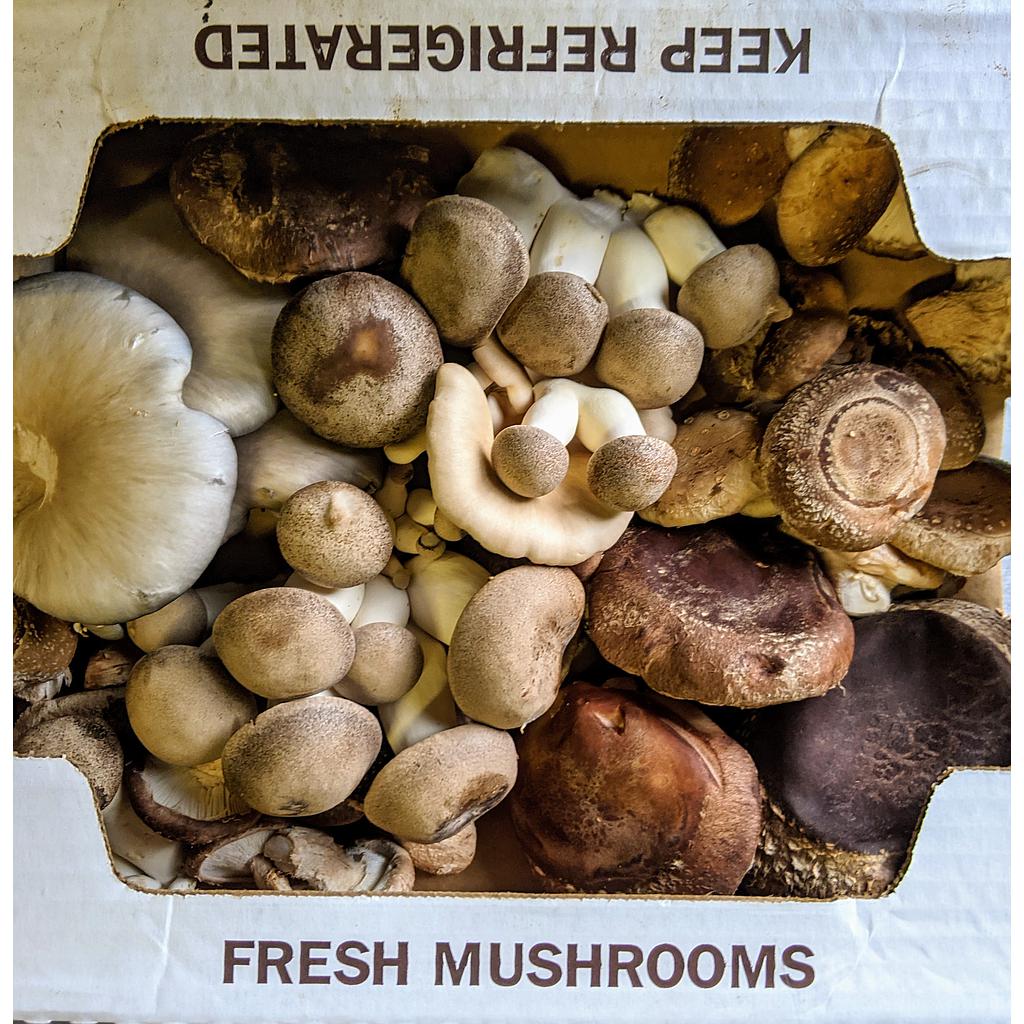 Kitchen Classics Mushroom Blend