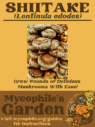 Grow Kit - Large Heirloom Shiitake