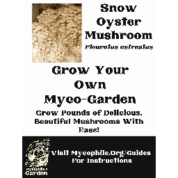 Grow Kit - Snow Oyster